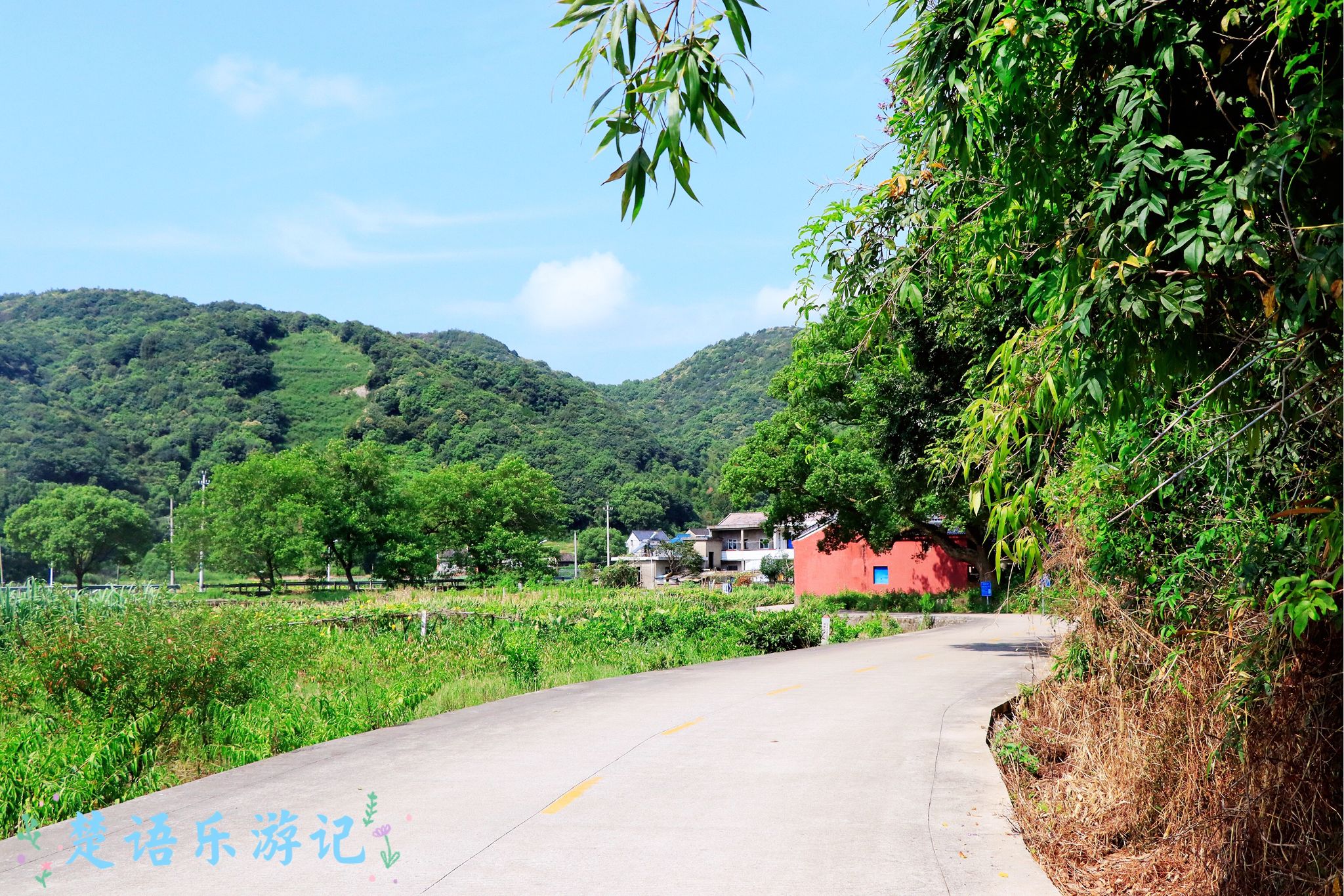 探寻宁波市松岙镇乡间古村，古树映溪美如桃源，到处是人文传说