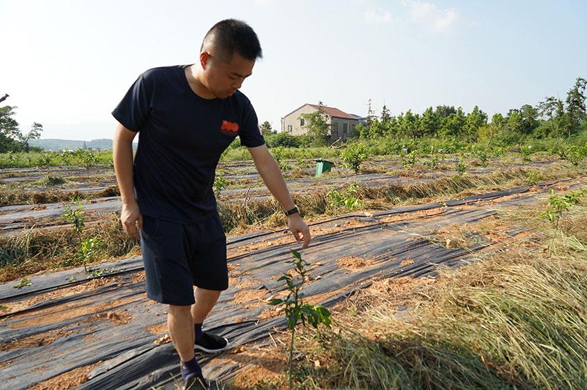 潘正盛：做村民建设“幸福家园”的领头雁