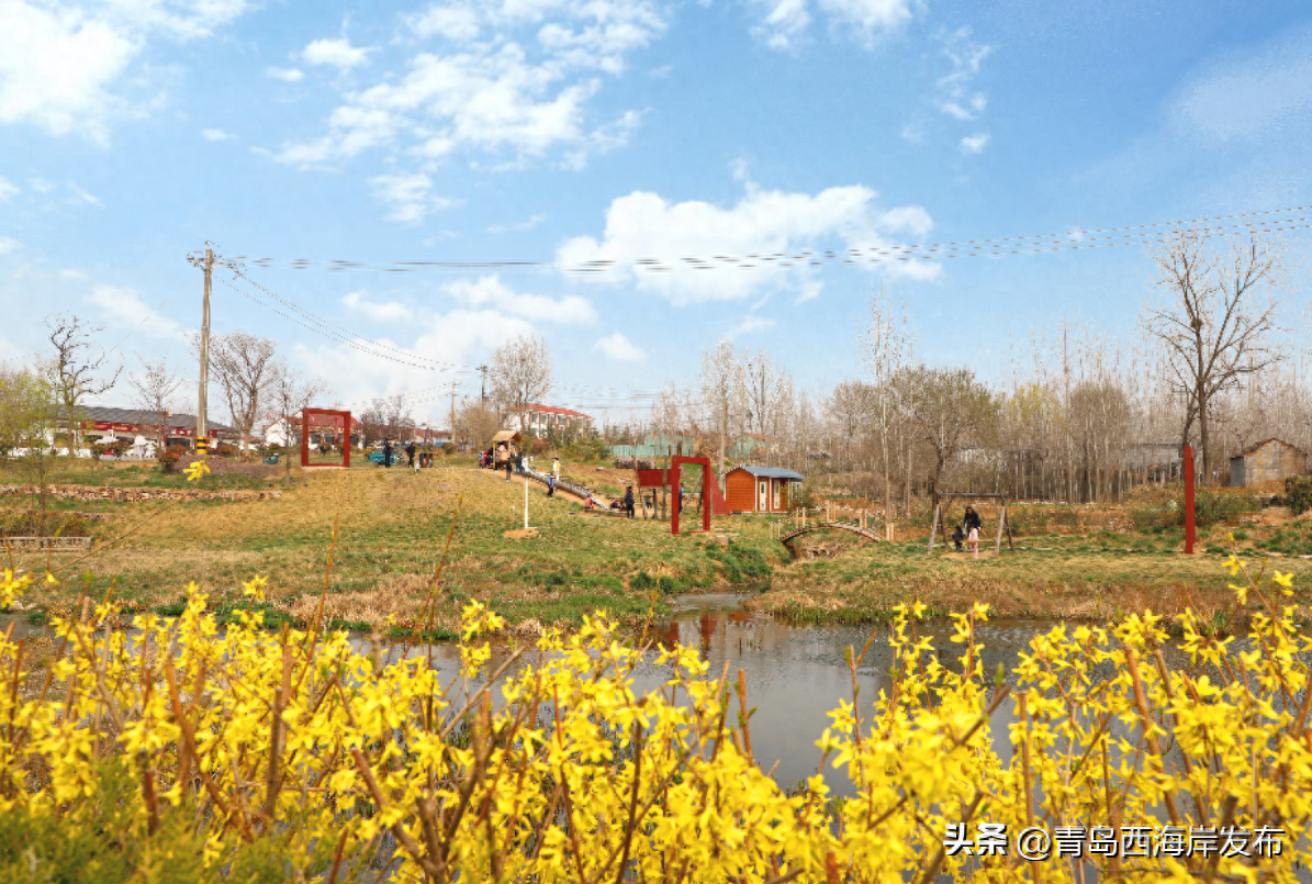 美食+美景！西海岸新区这个村优化整合文旅资源，不断擦亮乡村旅游新名片