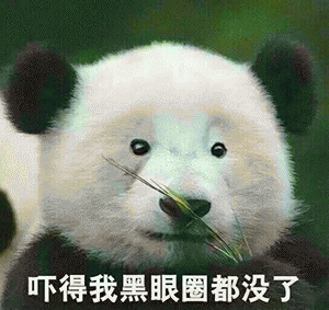 在乌鲁木齐装修怎么选？看完你就懂了！